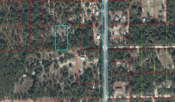 NE 95TH Street, Archer, FL 32618