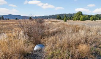 10201 Packsaddle Rd, Cascade, ID 83611