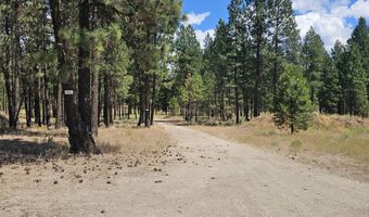33005 Godowa Springs Rd, Beatty, OR 97621
