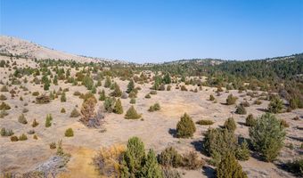 NHN Trails End Drive, Anaconda, MT 59711