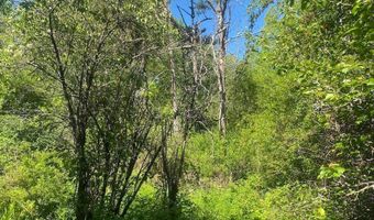 Townline Road, Angelica, NY 14709
