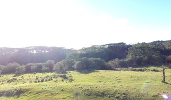 KAIWIKI HOMESTEAD RD, Hakalau, HI 96710