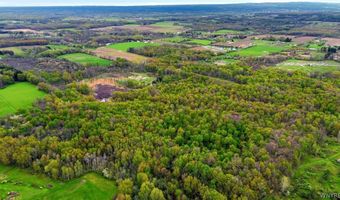 Beaver Road, Alexander, NY 14005