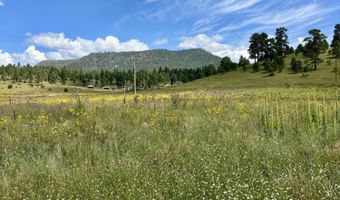 32 The Ranch At Alpine, Alpine, AZ 85920
