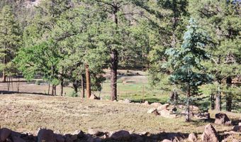 54 1st N St, Alpine, AZ 85920