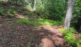 Tdb Cove Creek Rd, Bastian, VA 24314