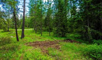 Nna Smoke Tree Ave, Athol, ID 83801