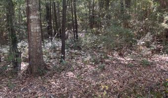 Cantania/Ridge Road, Bay St. Louis, MS 39520