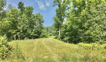 3 38 Acres County F Rd, Antigo, WI 54409