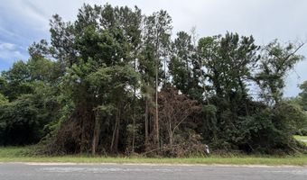 80 ACRE Monnie St, Ashburn, GA 31714