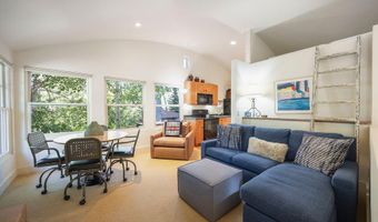 109 Neale Ave, Aspen, CO 81611