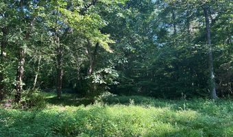 Reeves Road, Ashland, MS 38603