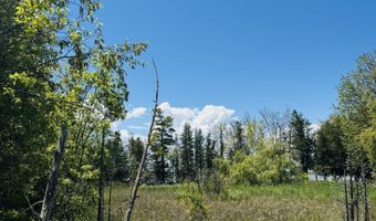17745 Shubert Hwy, Alpena, MI 49707