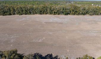 County Road 236 lot 5, Bell, FL 32619