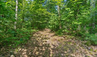 1125 39th St, Allegan, MI 49010