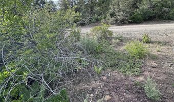 Porpoise Lane Lot 29, Bonanza, OR 97623