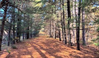 10 Acres County Road C, Arkdale, WI 54613