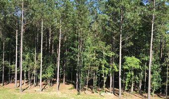 160 Slytown Rd, Amity, AR 71921