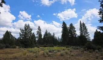 Swan Drive 16 & 17, Bonanza, OR 97623