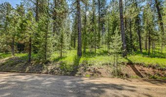 TBD Tamarack View Drive, New Meadows, ID 83654