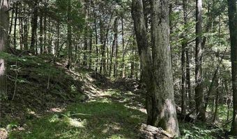 360 Ives Hill Rd, Afton, NY 13730
