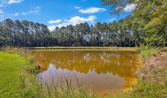 14231 Woodland Hills Dr, Biloxi, MS 39532
