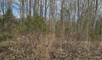 Lynn Lane Lot 23, Big Sandy, TN 38221