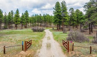 20861 Hwy 160, Bayfield, CO 81122