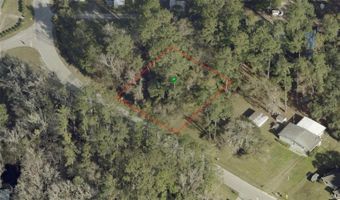 1915 ALICE Dr, Astor, FL 32102