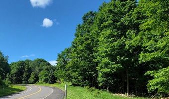 M22 Northwood Hwy, Arcadia, MI 49613