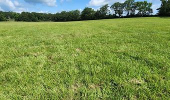 3350 SE Mt Pleasant Ln, Bogue Chitto, MS 39629