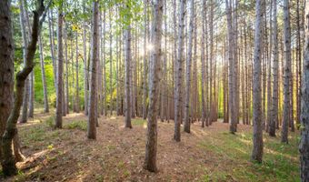 7380 Leonard St NE, Ada, MI 49301