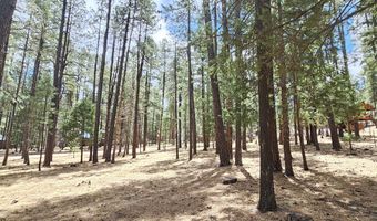 15 County Road 2065, Alpine, AZ 85920