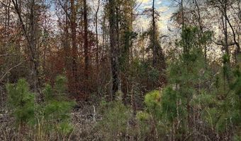 Lot 395 Singer Lane, Abbeville, AL 36310