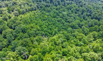Mt Helen Rd, Allardt, TN 38504