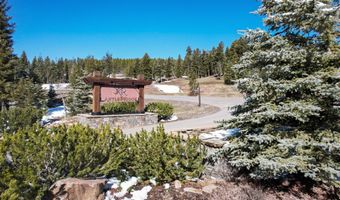 389 Antler Ridge Rd, Big Sky, MT 59716