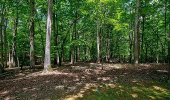 114 Garris McCabe, Blythewood, SC 29016