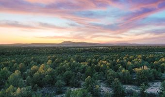 39 Acres Off South Carson Rd, Carson, NM 87517