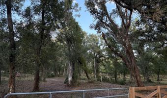 SE BROWN Road, Arcadia, FL 34266