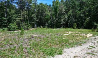 Rooks Road, Atkinson, NC 28421