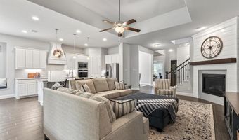 1203 Tiana St, Anna, TX 75409