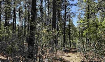 156 Lake View Cir, Bayfield, CO 81122