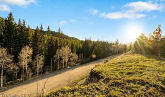 44 Two Meadows Dr, Anaconda, MT 59711