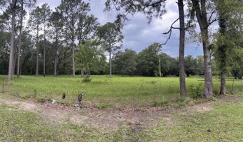 10901 Hall Dr, Axis, AL 36505
