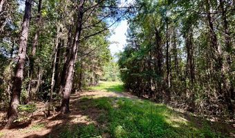 3951 MS-42, Bassfield, MS 39421