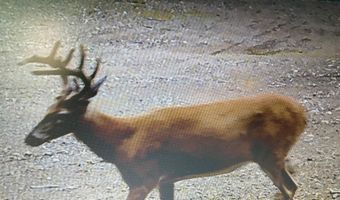 W McMann & Porcupine Hill Road lot 3, Addison, ME 04606