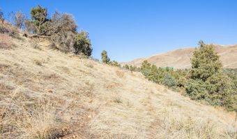 3221 Reese Ln, Gardnerville, NV 89410
