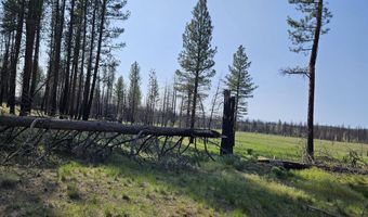 Parazoo Trail Lot 2 Block 8, Bly, OR 97622