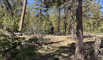 Horned Owl Way 385461, Bonanza, OR 97623