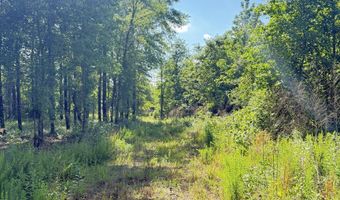 Perkins Road, Barnesville, GA 30204